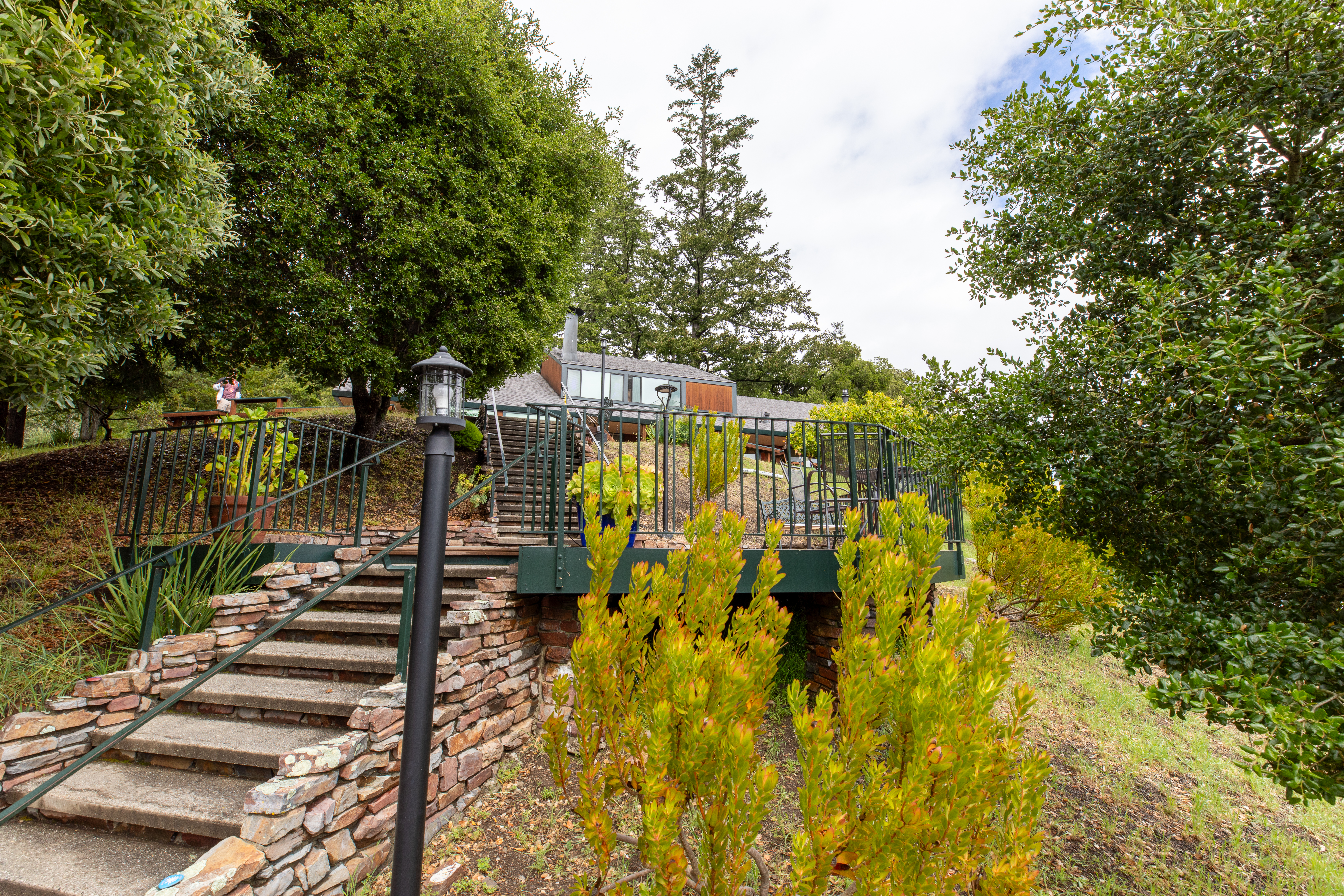 Serenity Knolls Treatment Center surrounded by trees and greenery