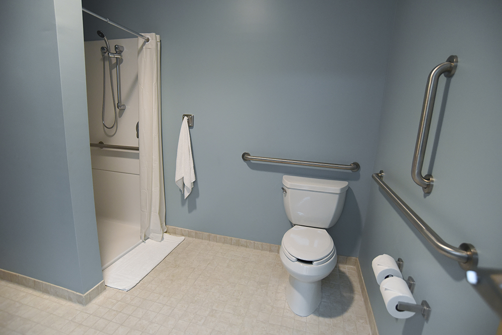 Accessible bathroom with shower and grab bars