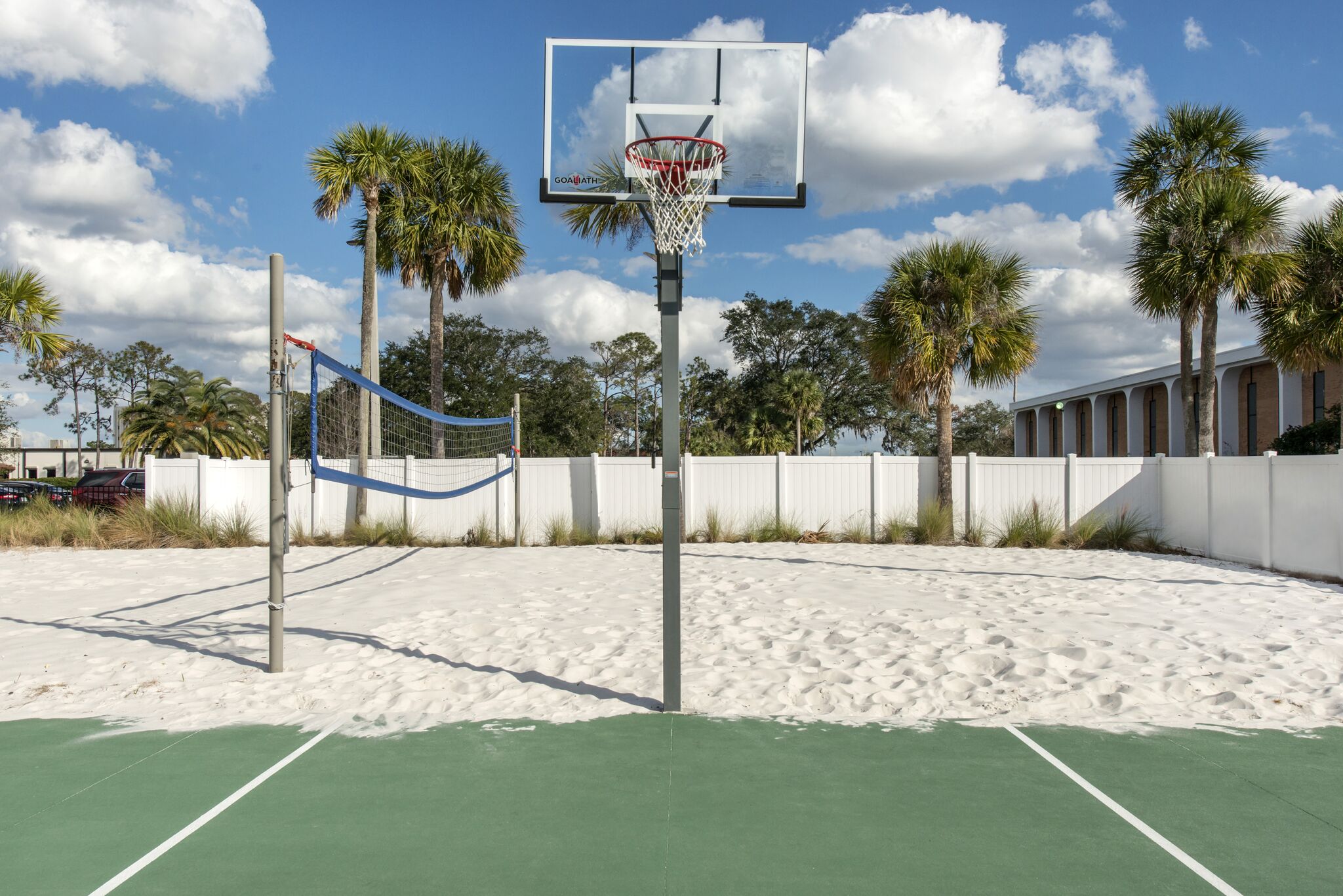 Outdoor basketball and volleyball court surrounded by palm trees.