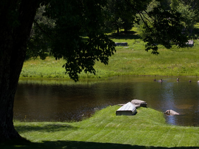 Pond surrounded by grass and trees on facility grounds