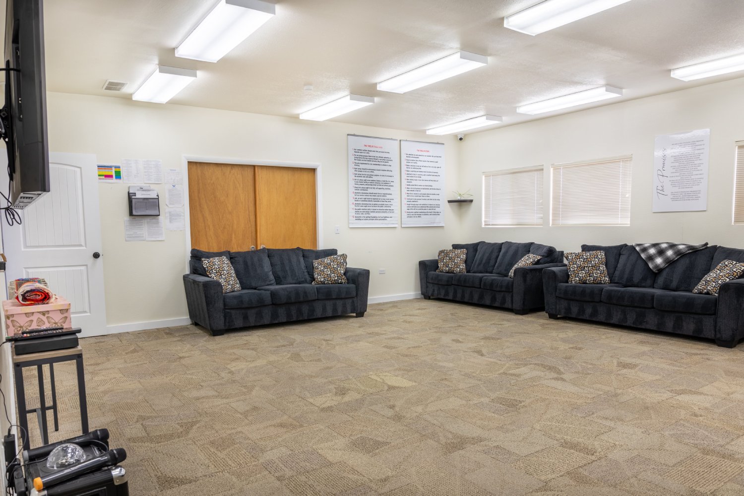 Group meeting room with couches and posters