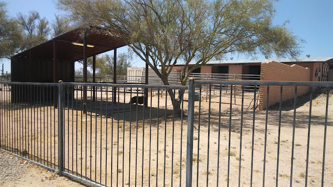 La Frontera Center Mountain Rose Tucson2