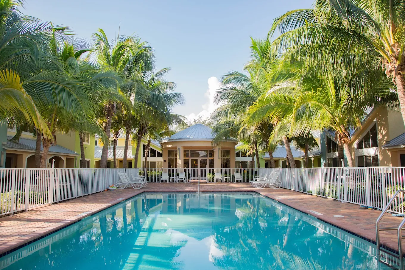 Outdoor swimming pool surrounded by palm trees