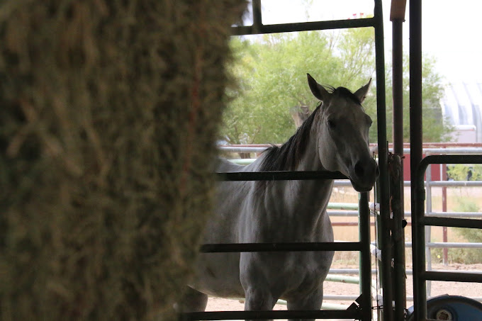 White River Academy Delta P2