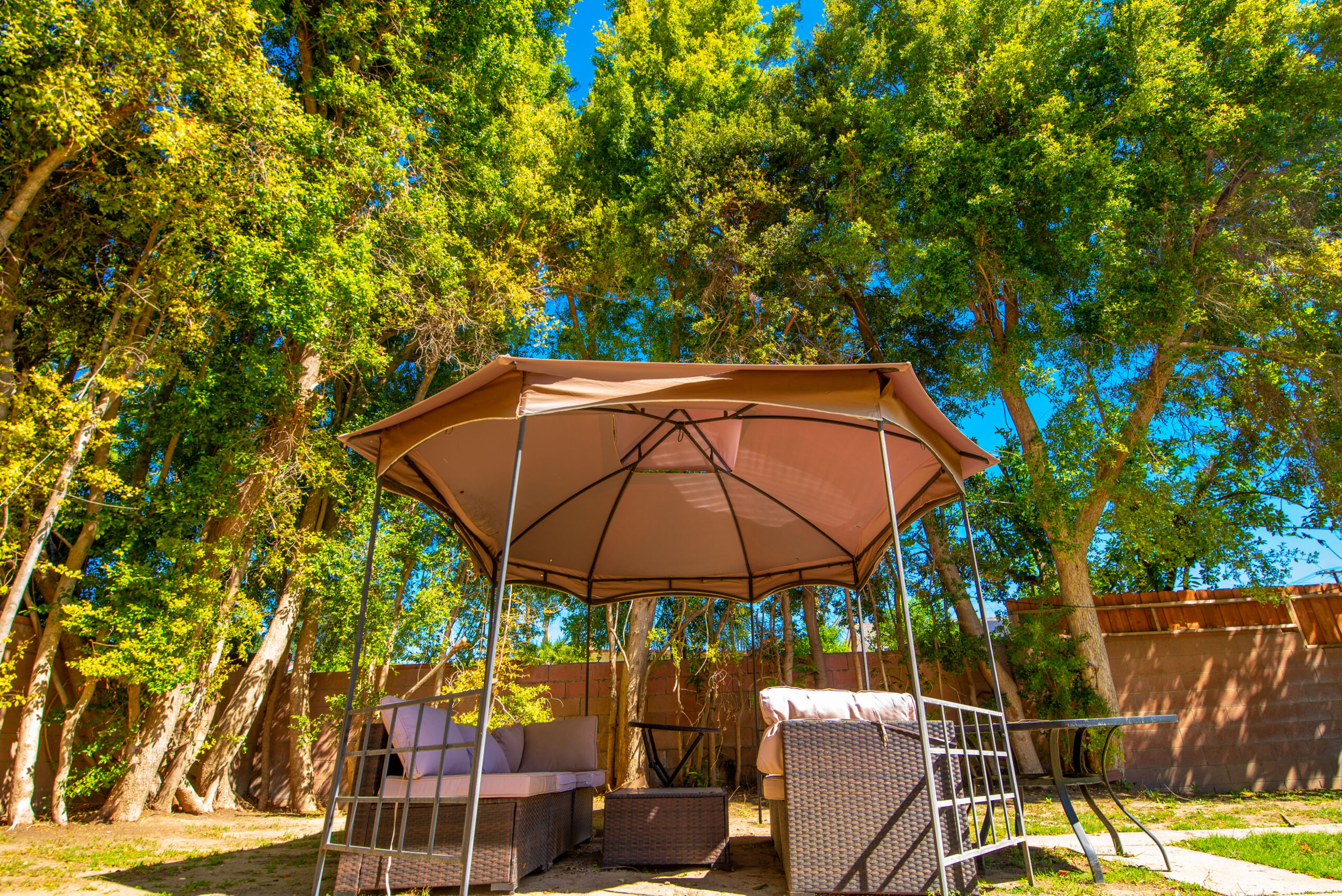 Outdoor patio seating area surrounded by trees