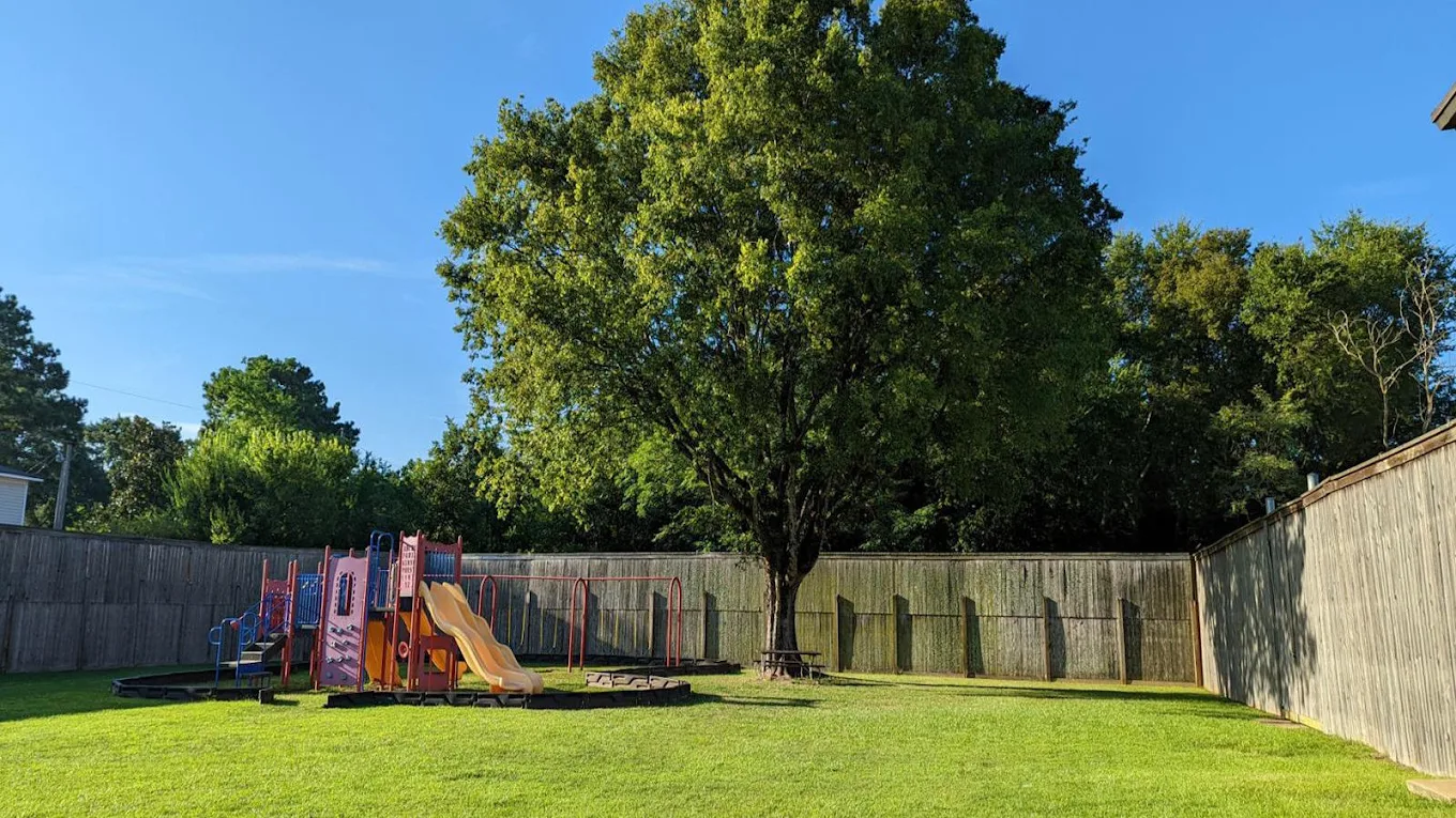 Large grassy recreation area with playground and mature tree
