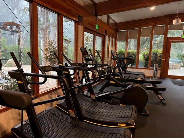 Gym with cardio machines overlooking wooded outdoor scenery