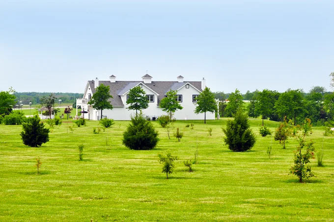 White building surrounded by trees and open fields