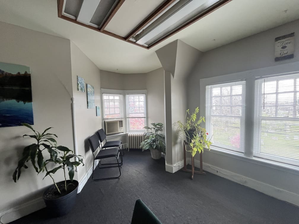 Chairs and potted plants by windows in quiet waiting area