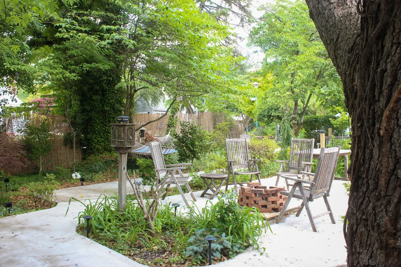 Outdoor seating area with chairs, trees, and hammock