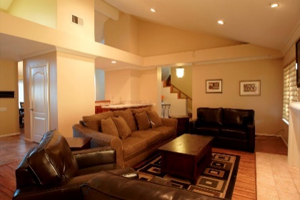 Cozy lounge with brown sofas and coffee table