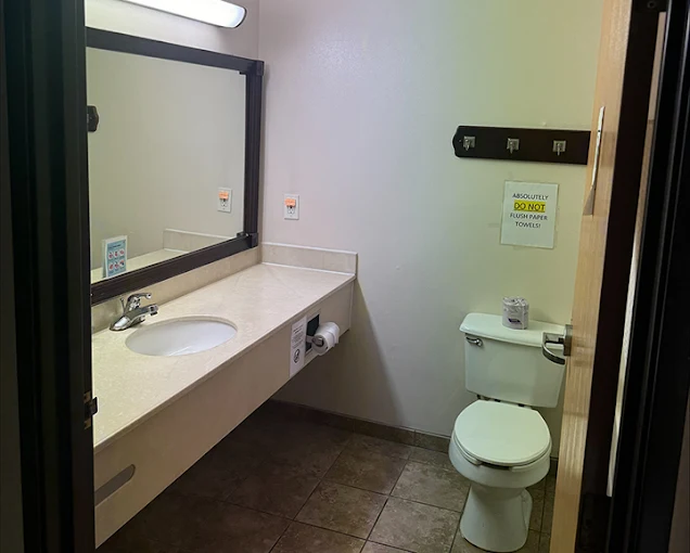 Bathroom with sink, mirror, and toilet