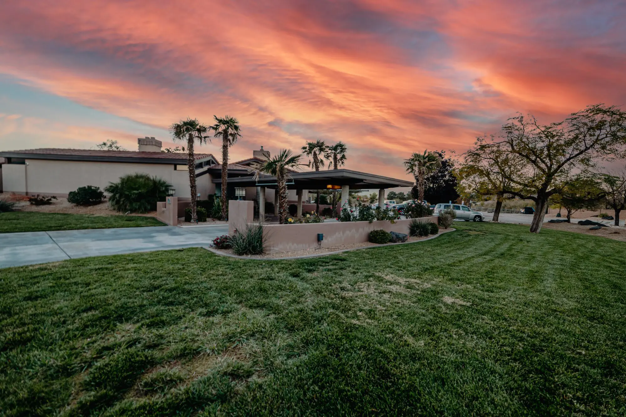 Grassy outdoor grounds with palm trees at sunset