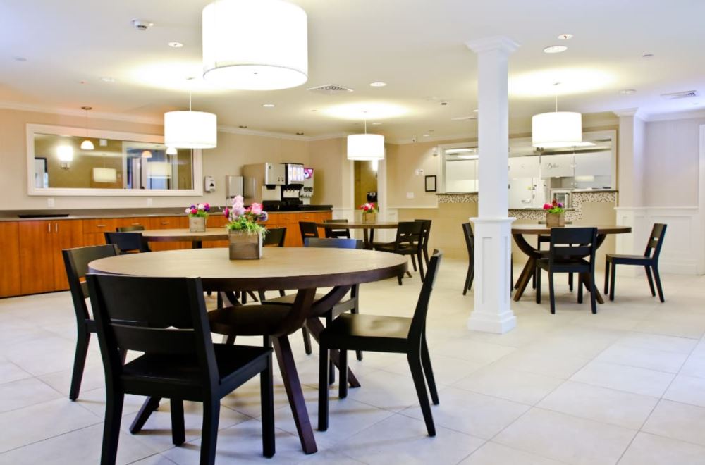 Round dining tables with black chairs in bright room