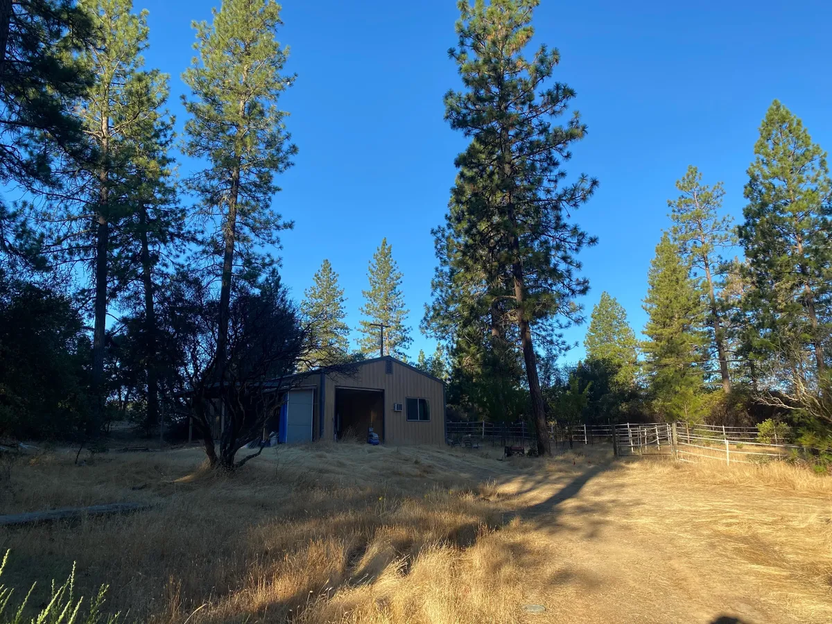 Small barn structure among tall trees on dry ground