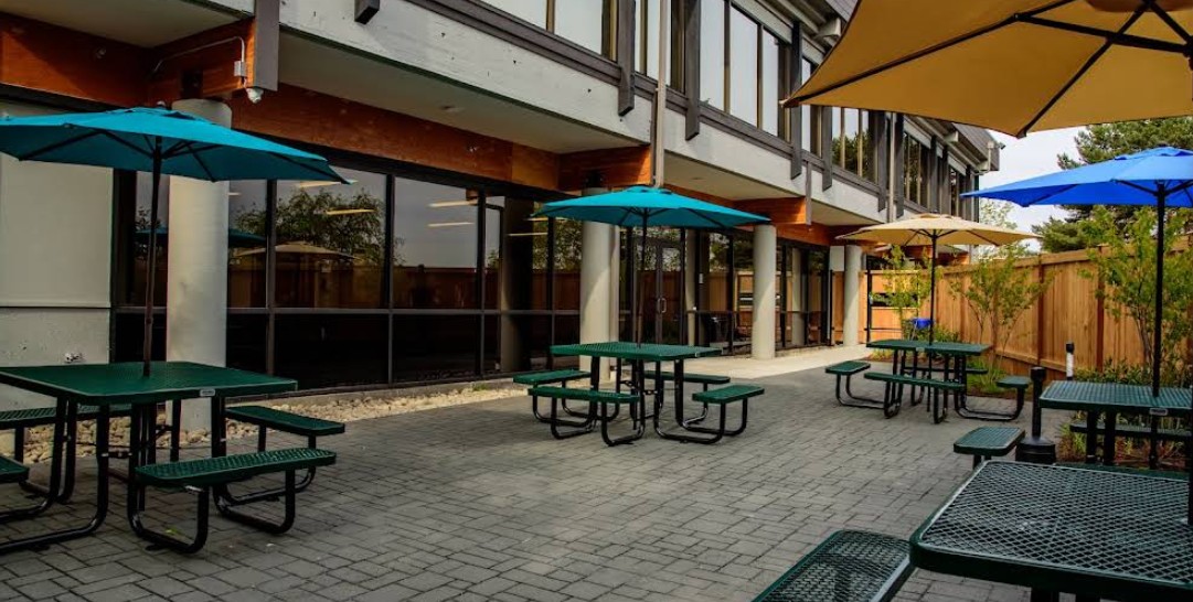 Outdoor courtyard patio with picnic tables and umbrellas