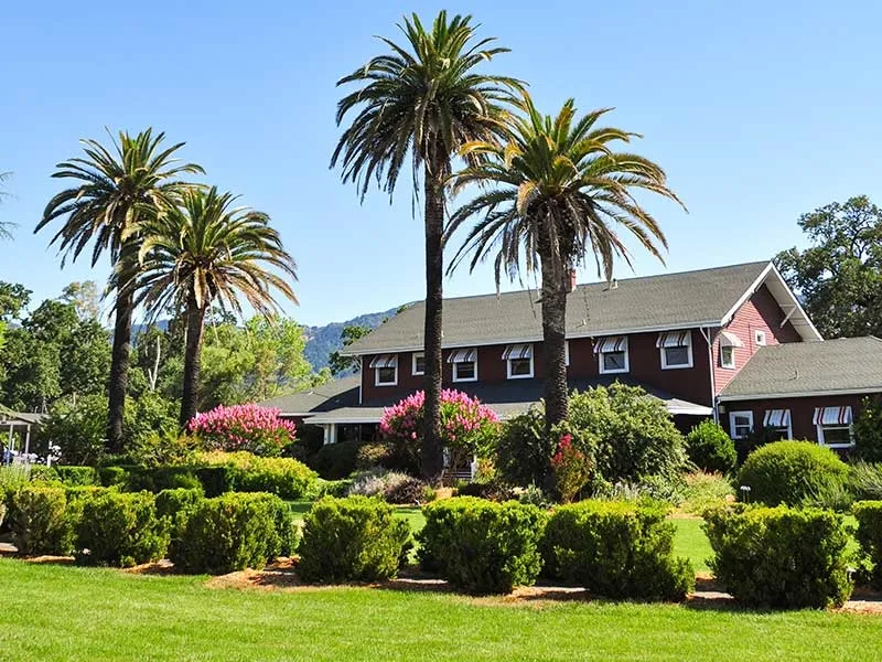 Red facility building surrounded by palm trees and gardens