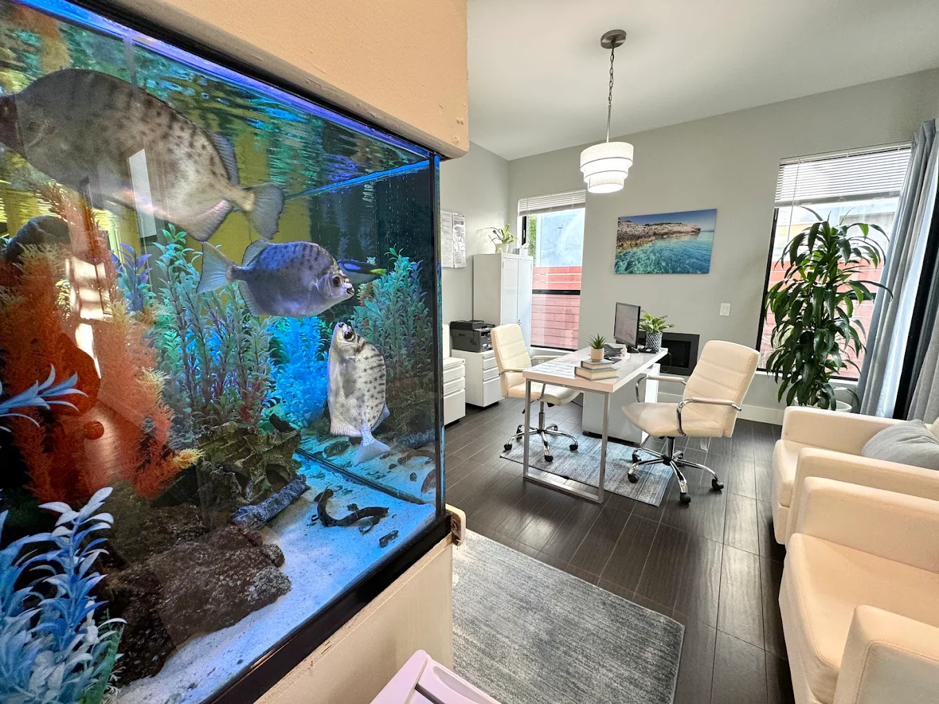 Office space with large fish tank and white chairs