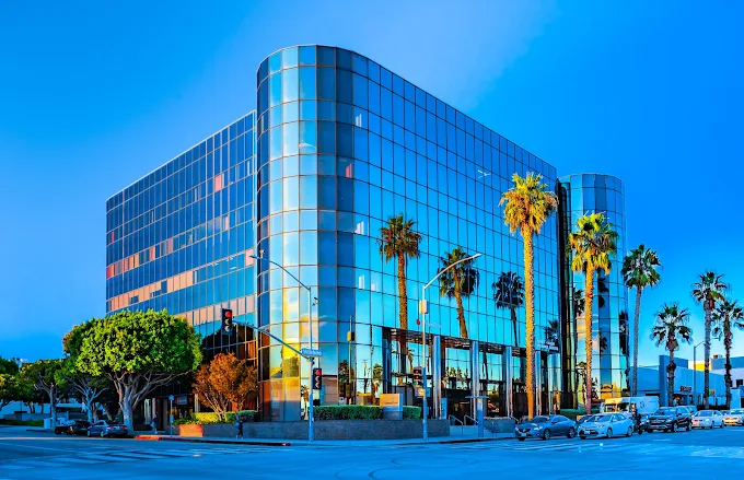 Side view of glass office building with palm trees and street view