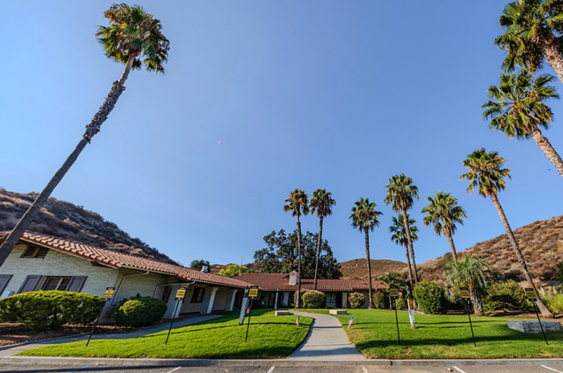 Walkway lined with palm trees leading to rehab entrance.