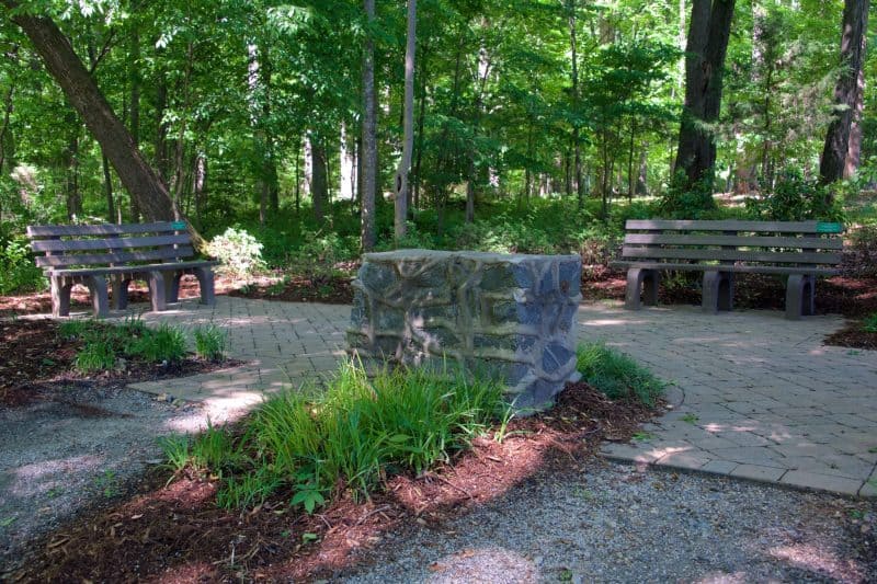 Shaded forest path with benches and stone monument