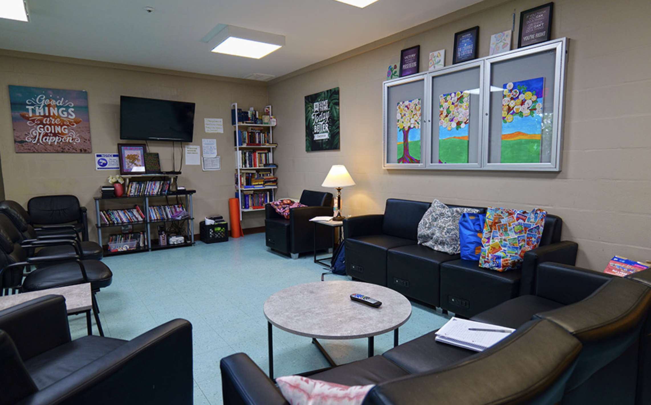Community lounge with sofas, chairs, bookshelves, and television
