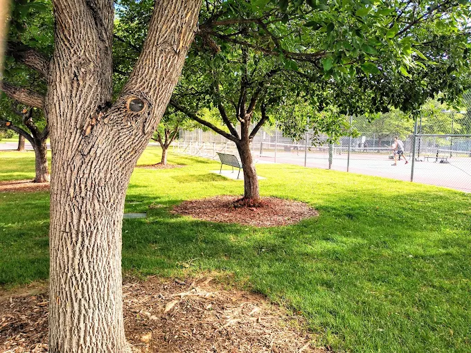 Green park with trees and tennis courts in the distance