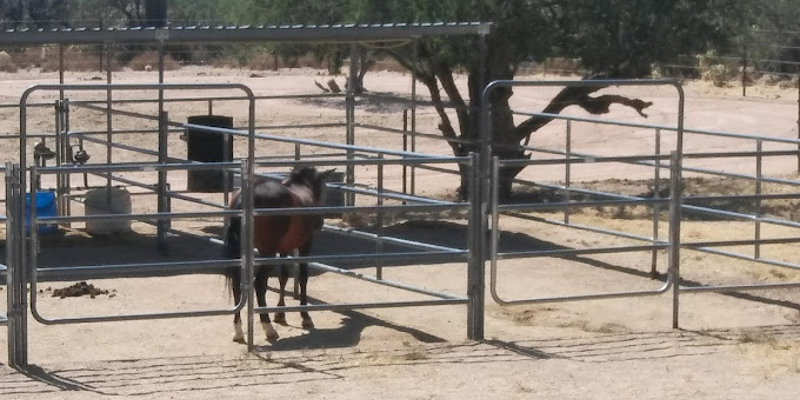 La Frontera Center Mountain Rose Tucson6