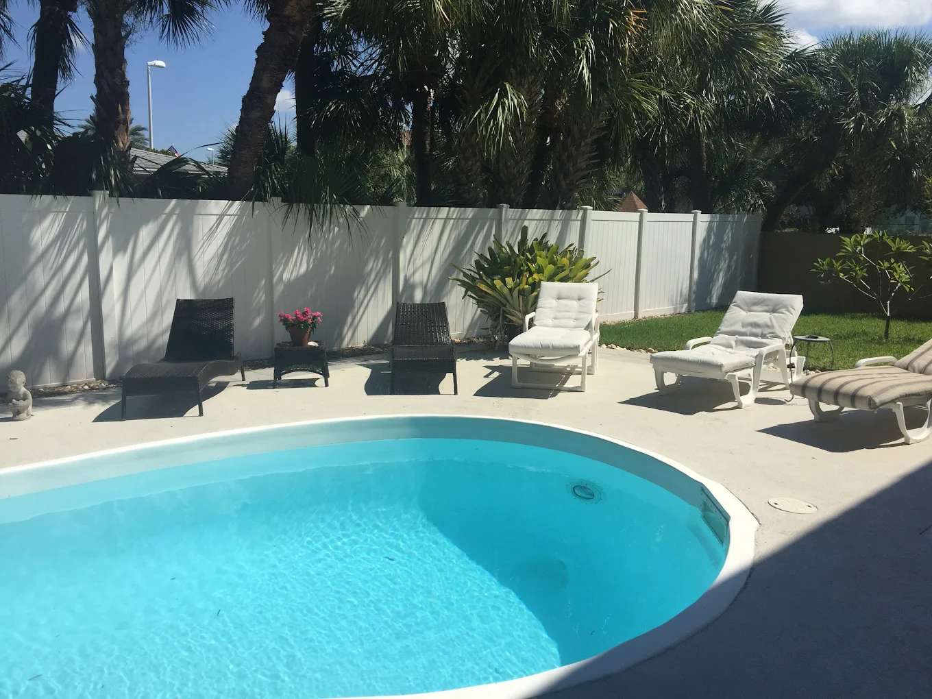 Outdoor pool with lounge chairs and tropical plants