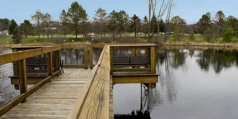 Landmark Recovery Of Western Michigan Battle Creek6