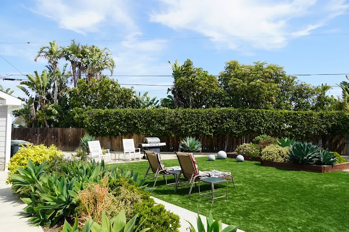 Green lawn with lounge chairs and lush tropical plants