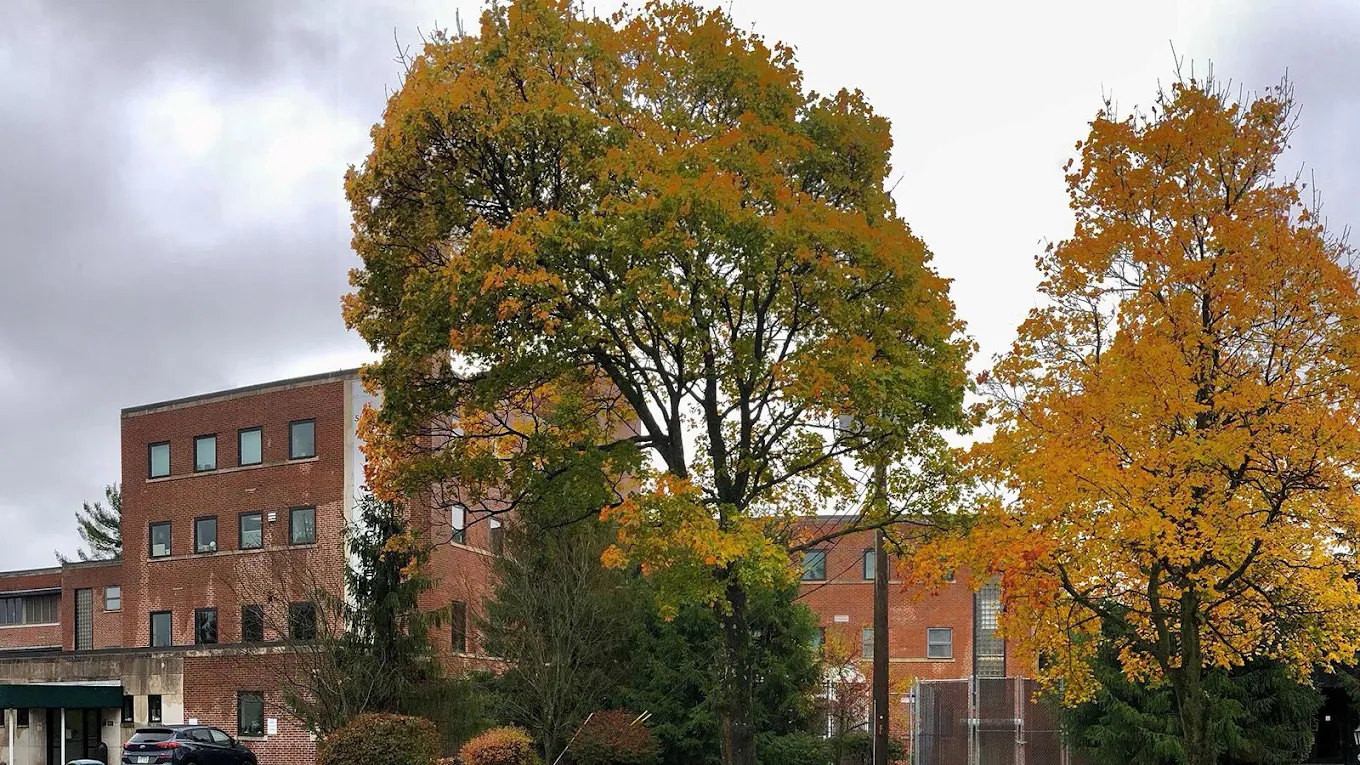 Brick rehab center surrounded by trees with fall foliage