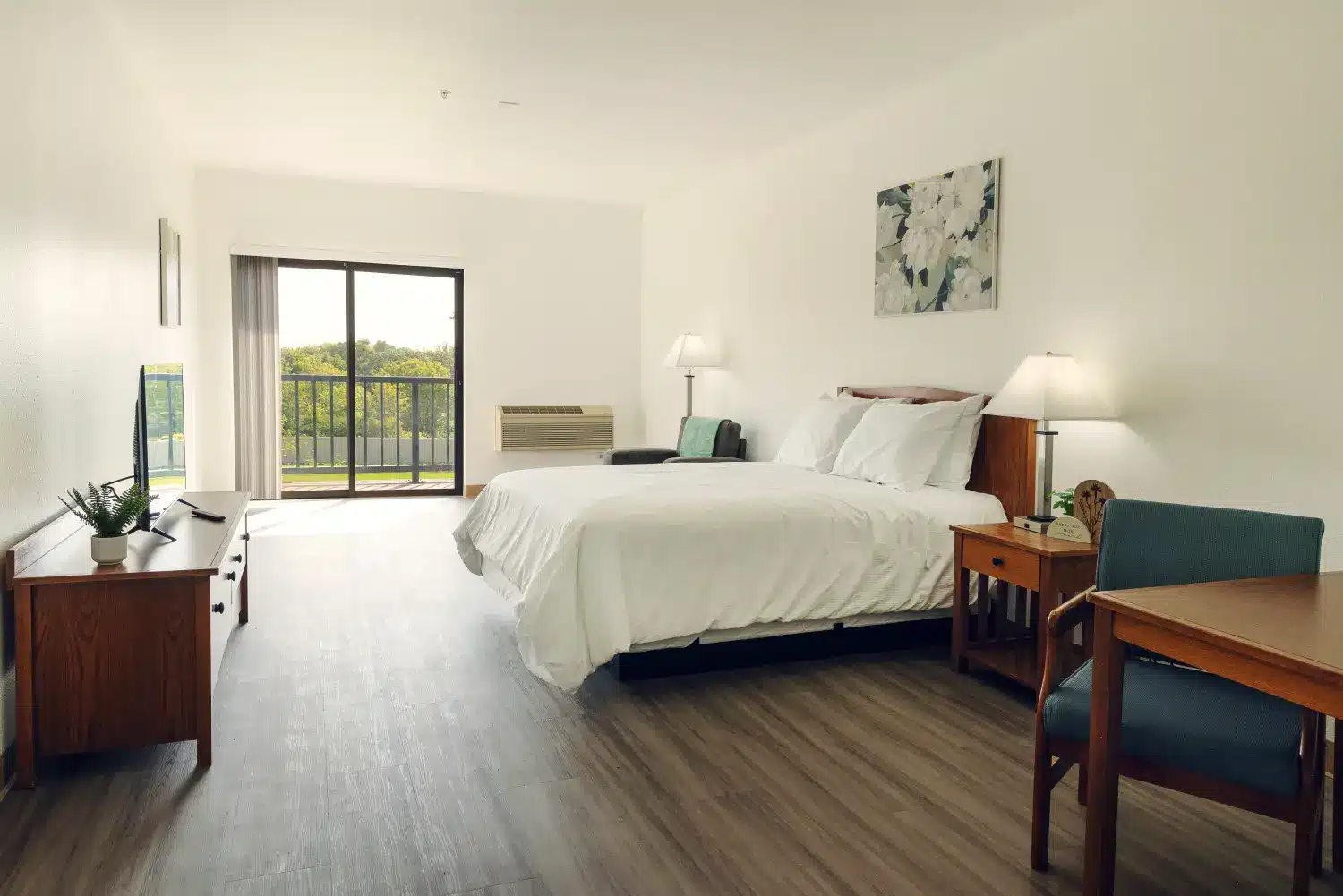 Wood Violet Recovery Dodgeville Photo5