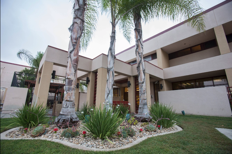 A modern, well-maintained building with palm trees and a landscaped garden area, creating a serene and welcoming atmosphere.