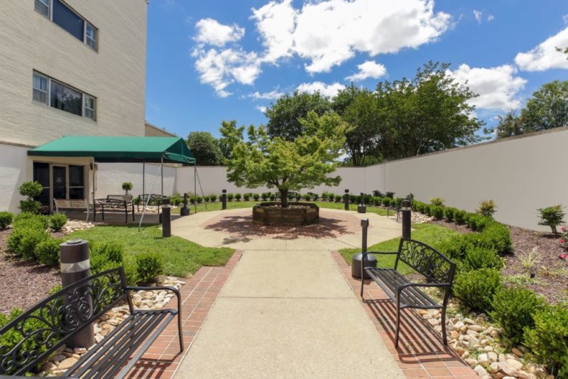 Courtyard with benches and central tree