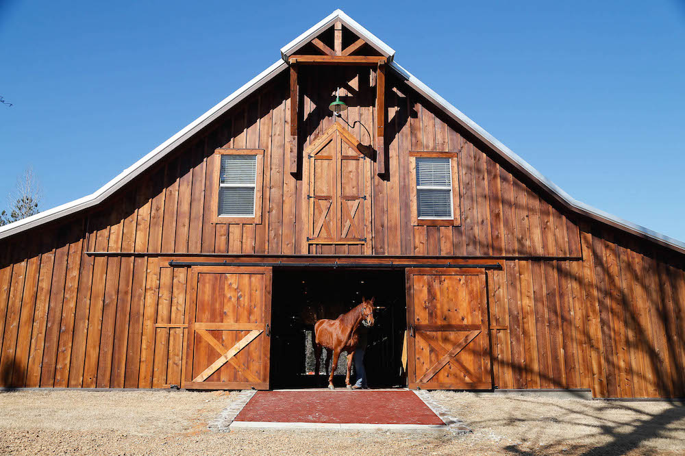 Large wooden barn with a horse at the entrance