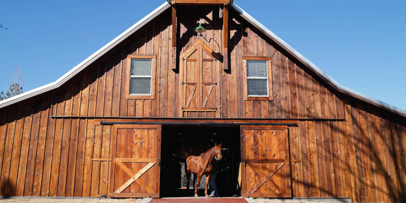 A beautiful wooden barn with large sliding doors open, revealing a horse being led out into the sunlight under a clear blue sky.