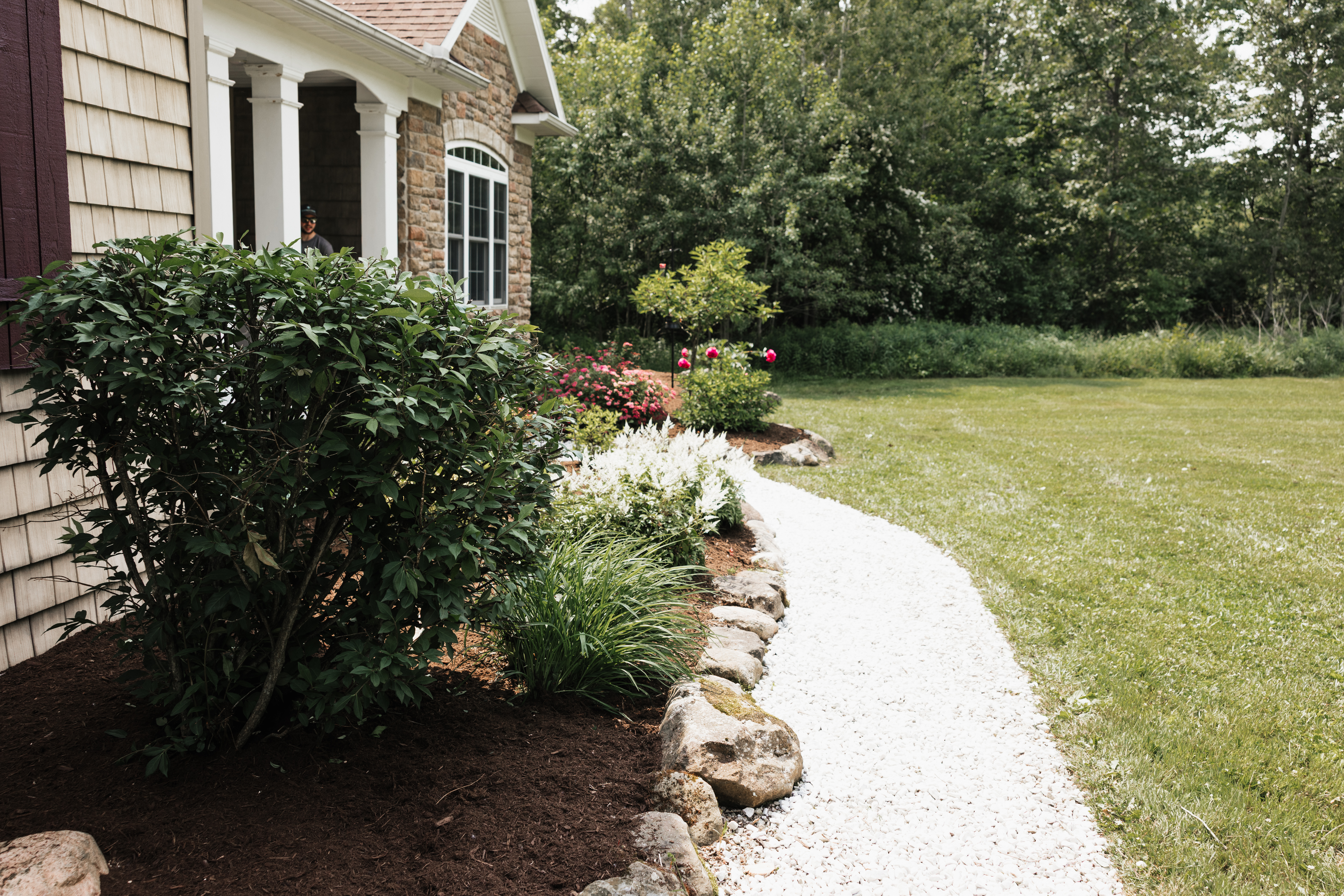 Garden path lined with shrubs and flowers