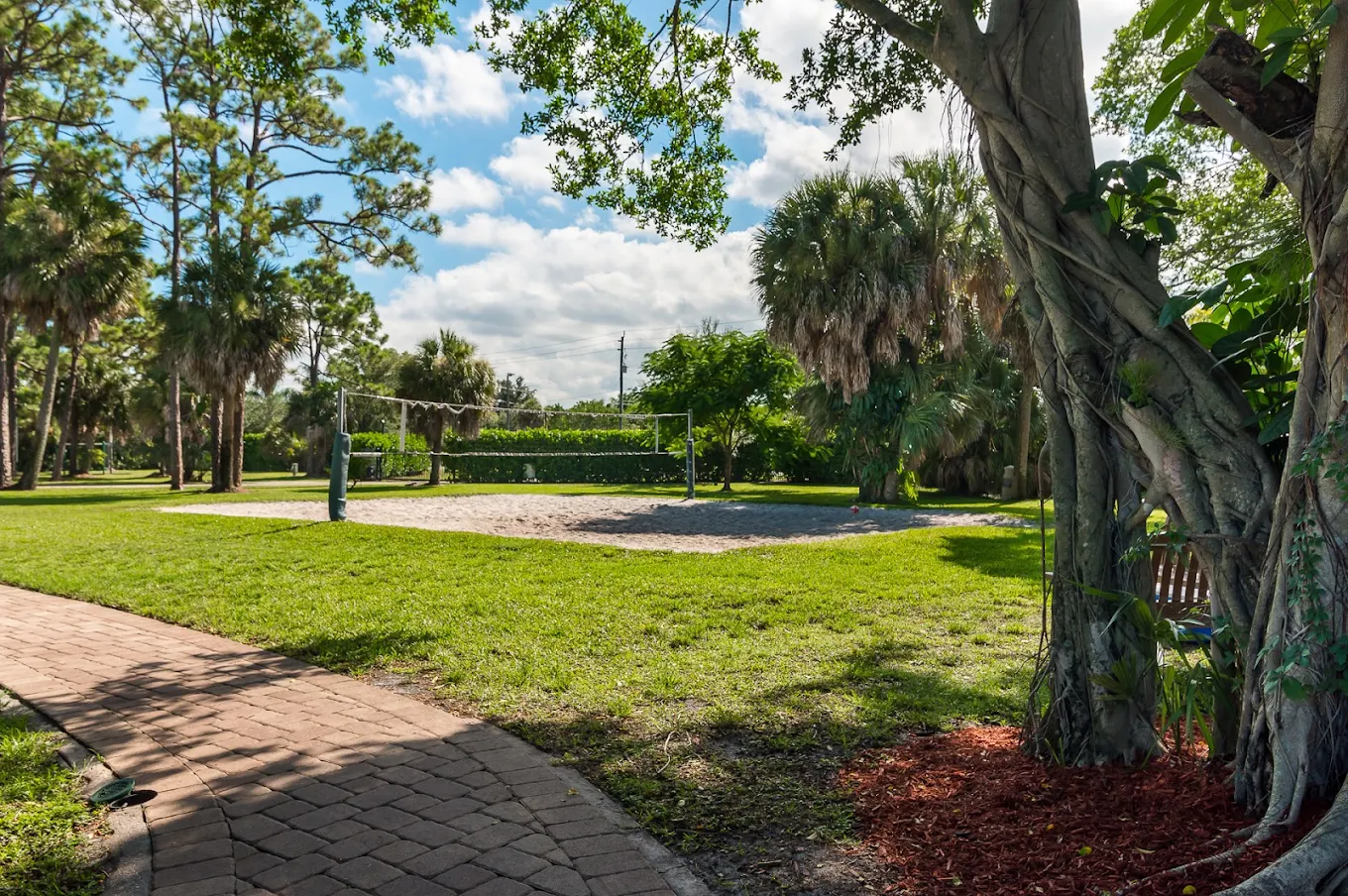 Outdoor sand volleyball court surrounded by trees.