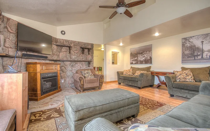 Comfortable lounge with sofas, fireplace and television
