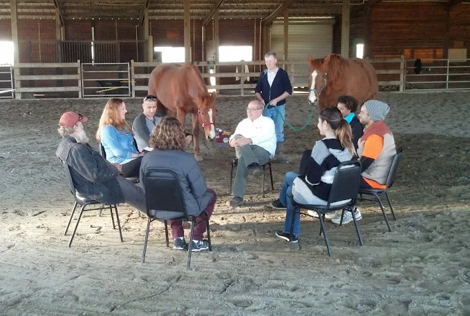 Group therapy session with horses in arena