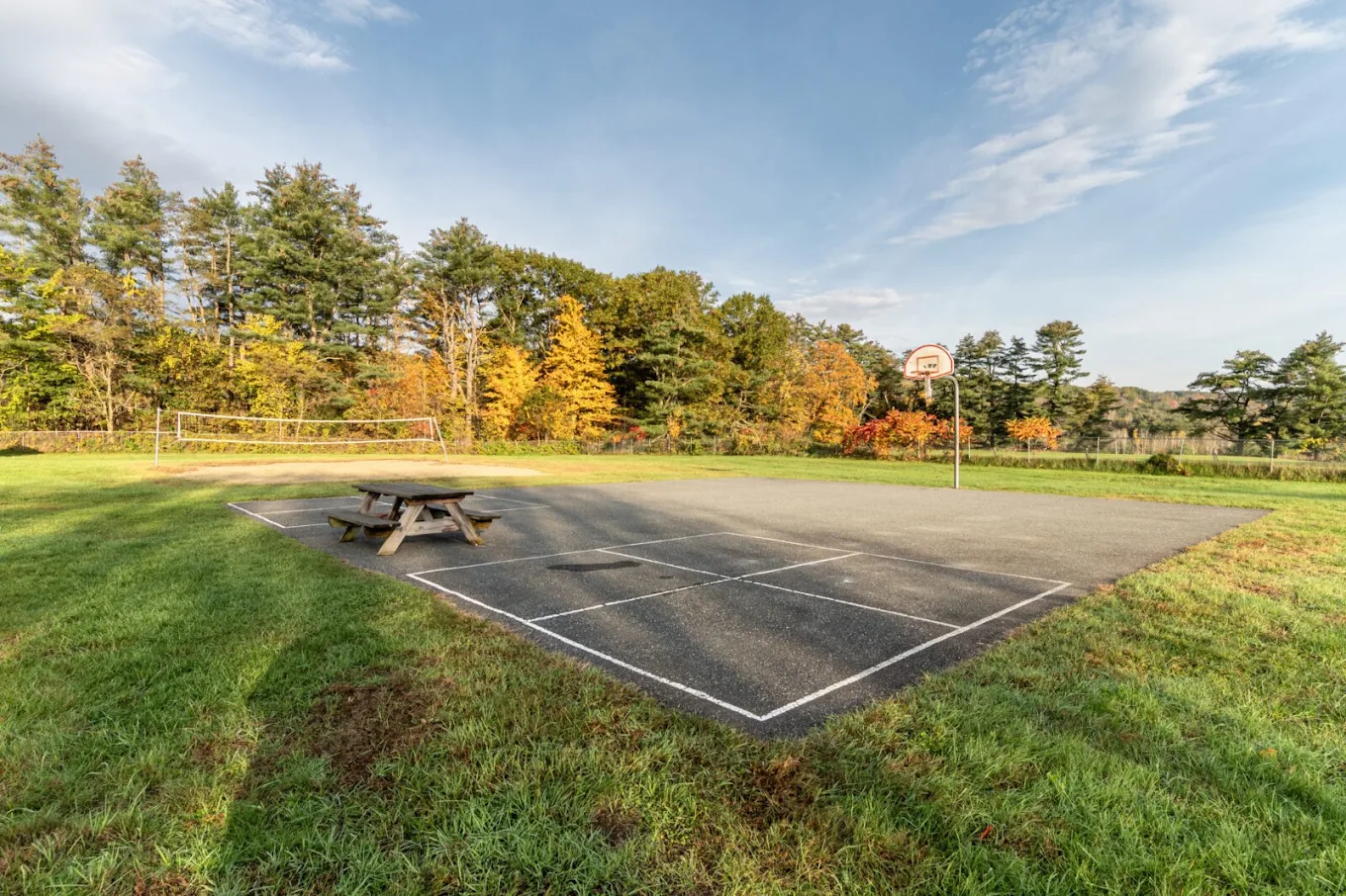 Outdoor basketball court surrounded by grass and trees