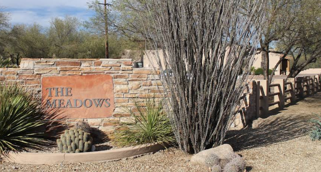 Stone entrance sign reading The Meadows with desert plants
