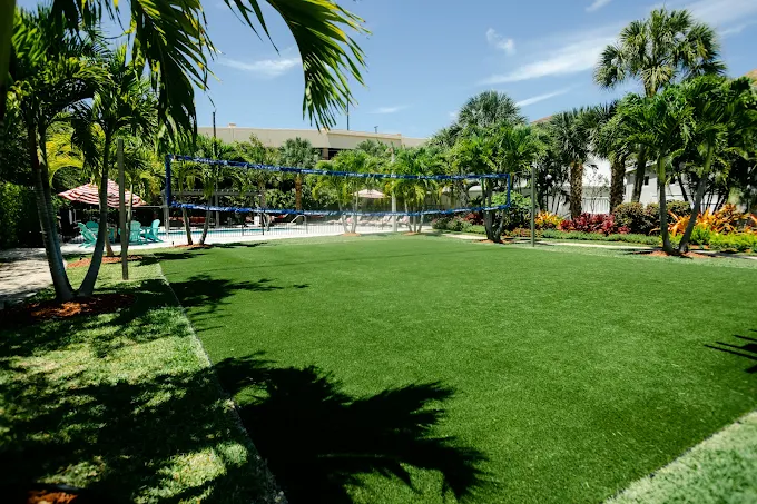 Outdoor volleyball court surrounded by palm trees