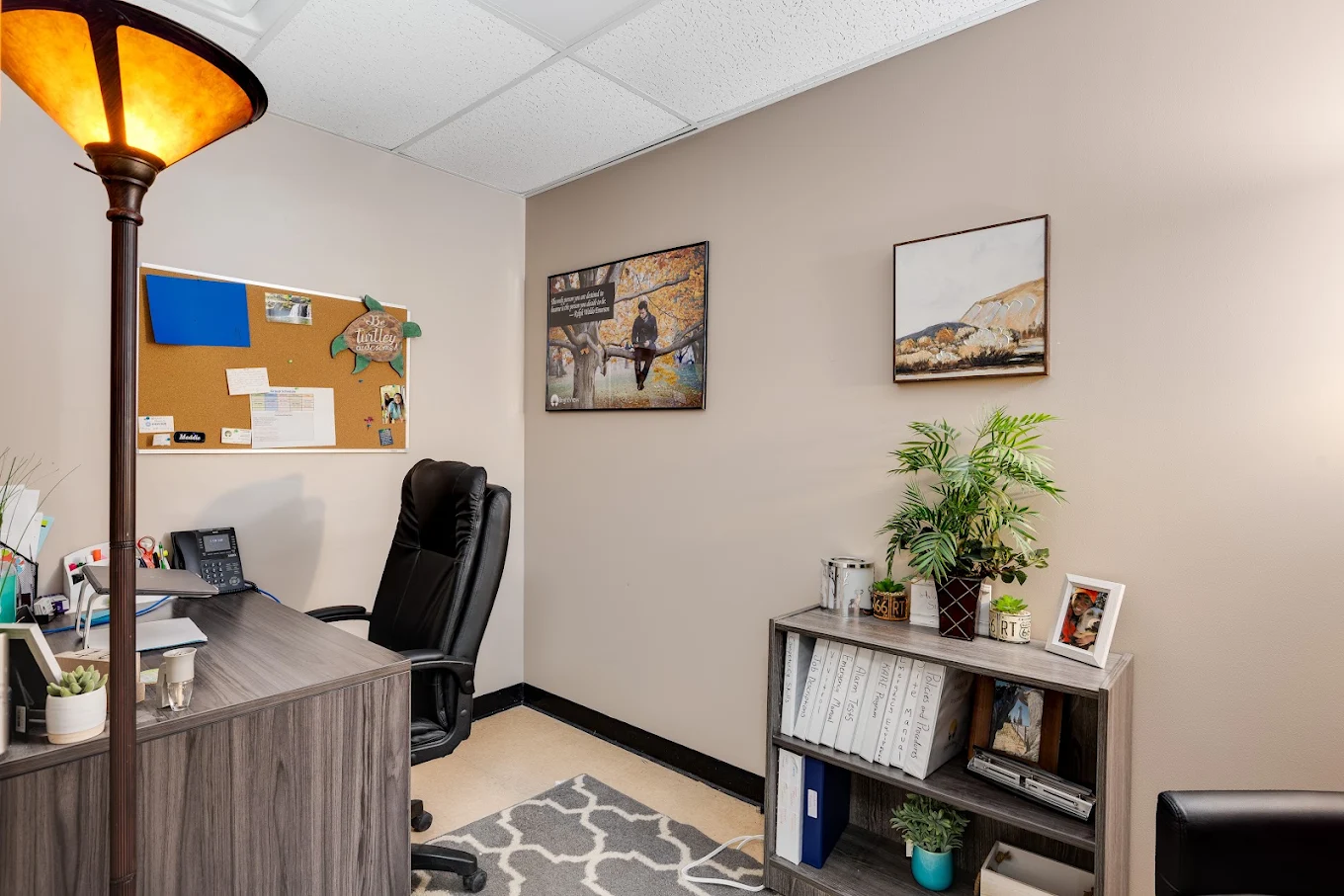 Private counseling room with desk, chair, bookshelf, and plants