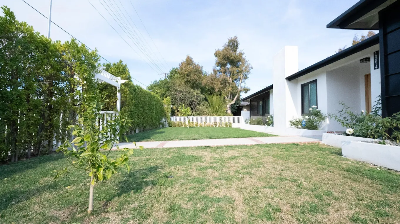 Lawn and landscaped yard with small tree