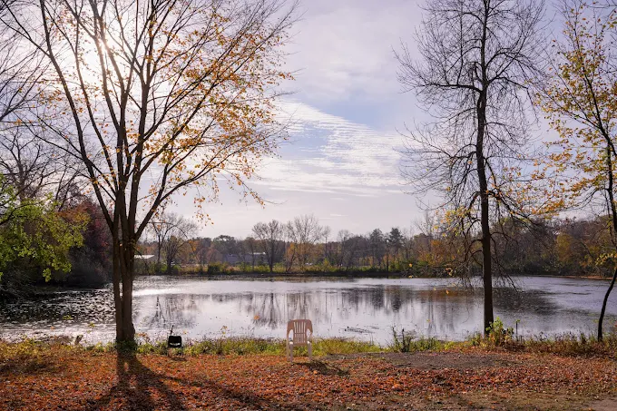 Peaceful lakeside view with chair and trees