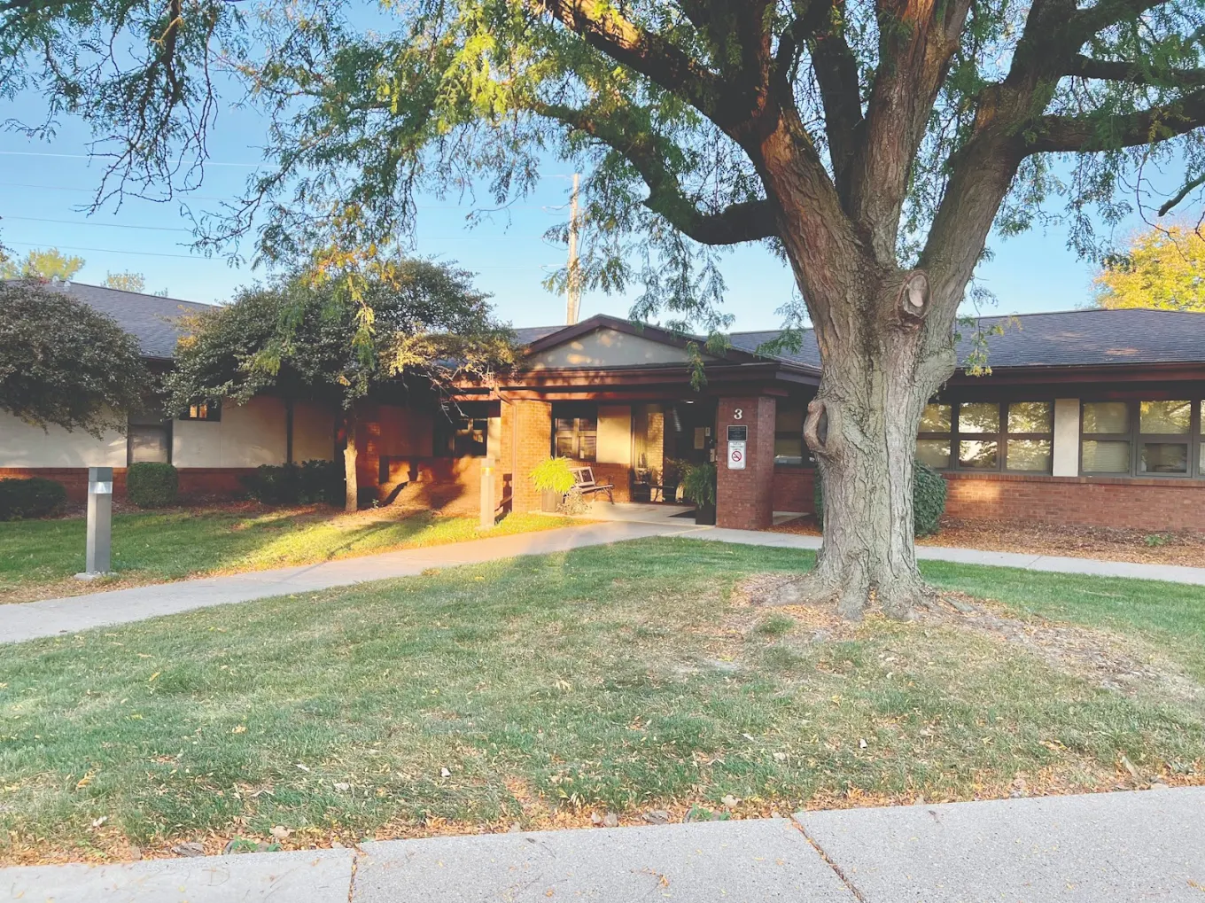 Brick building with shaded entry and large tree in front