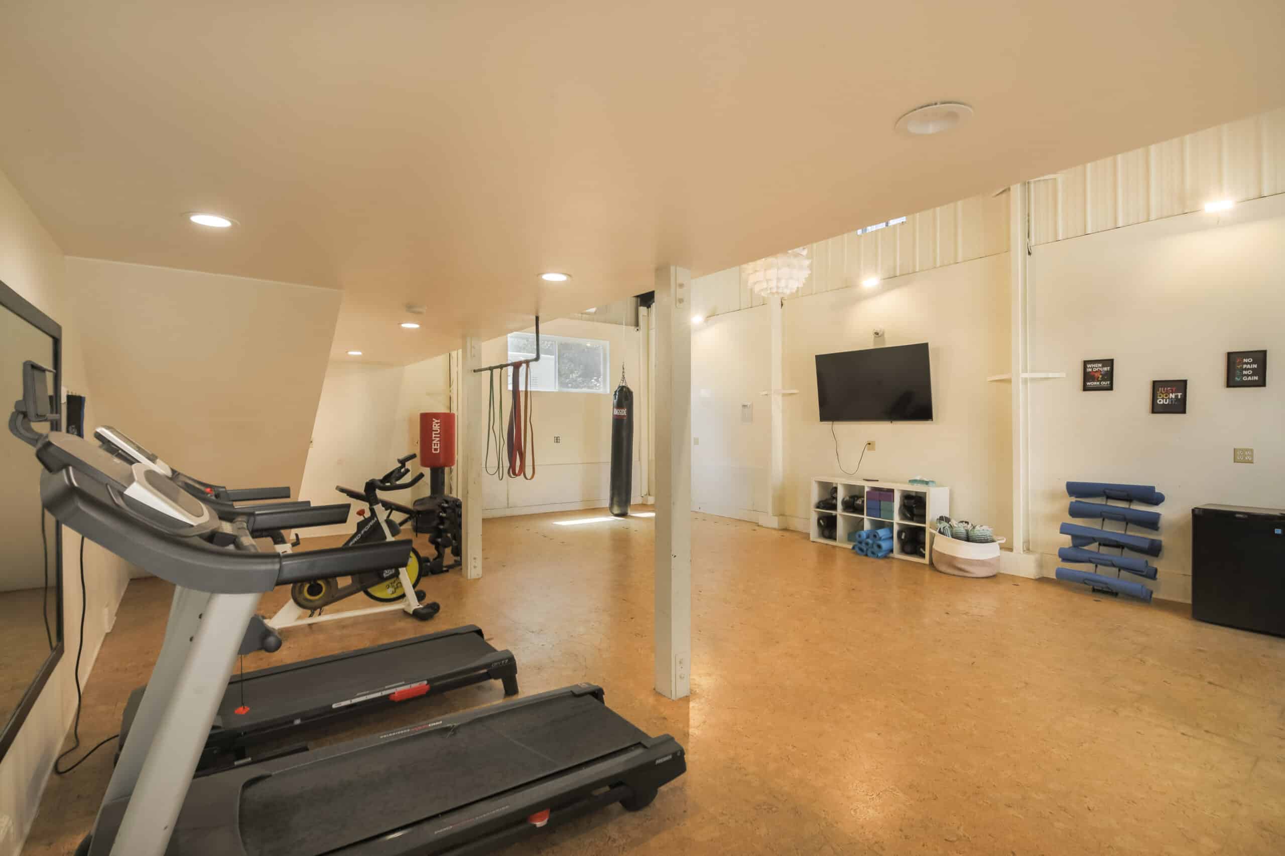Gym with treadmills, boxing bag, and exercise mats