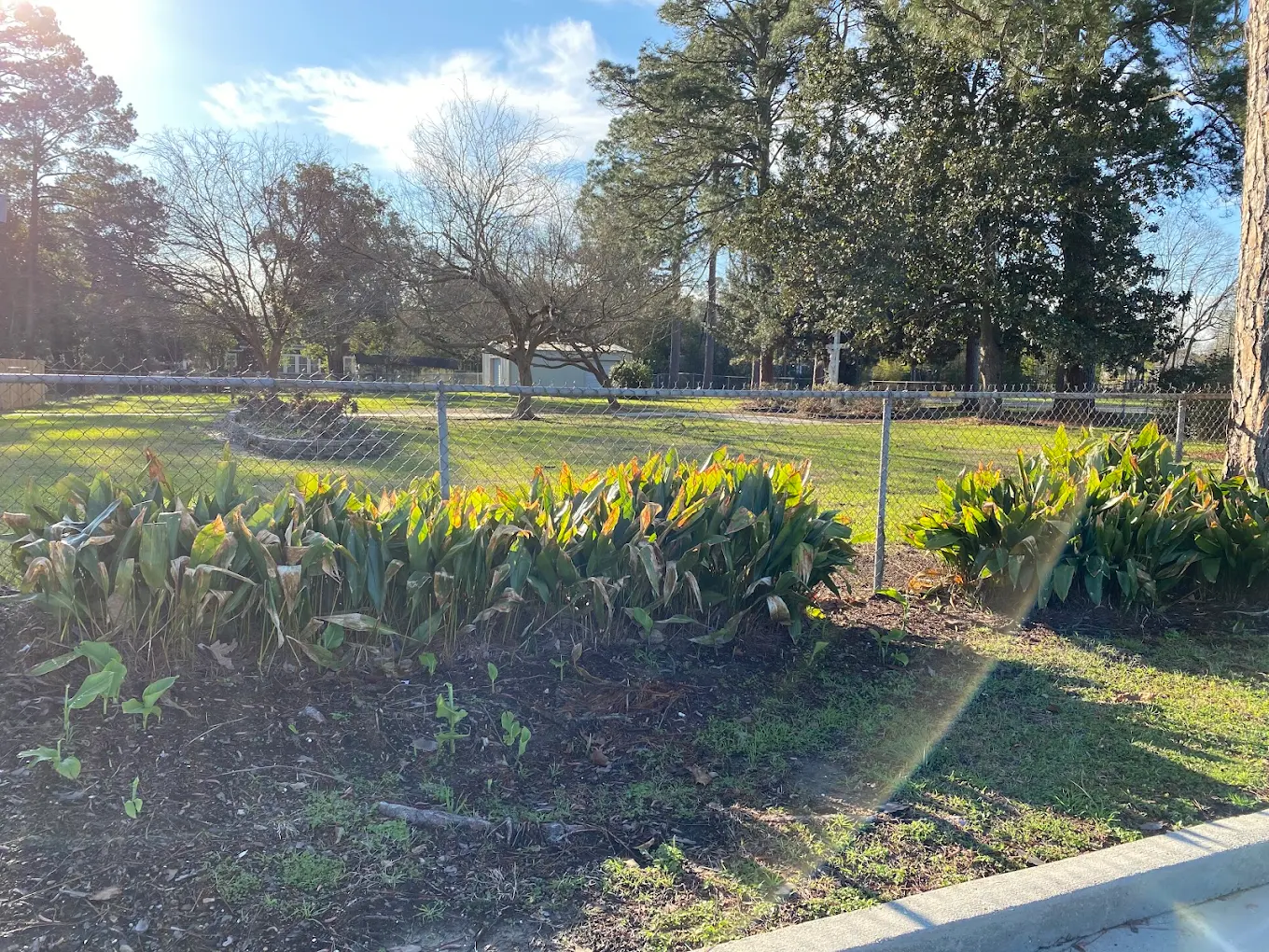 Landscaped outdoor grounds with garden plants, lawn, mature trees, and a chain-link fence